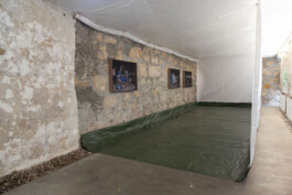 Espace Libre